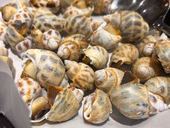 -顺德了能馆(虎门店)