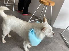 -悟白咖啡WoobyCafe