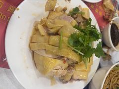 -振鼎鸡(华阴路店)