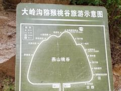 -大岭沟猕猴桃谷风景区