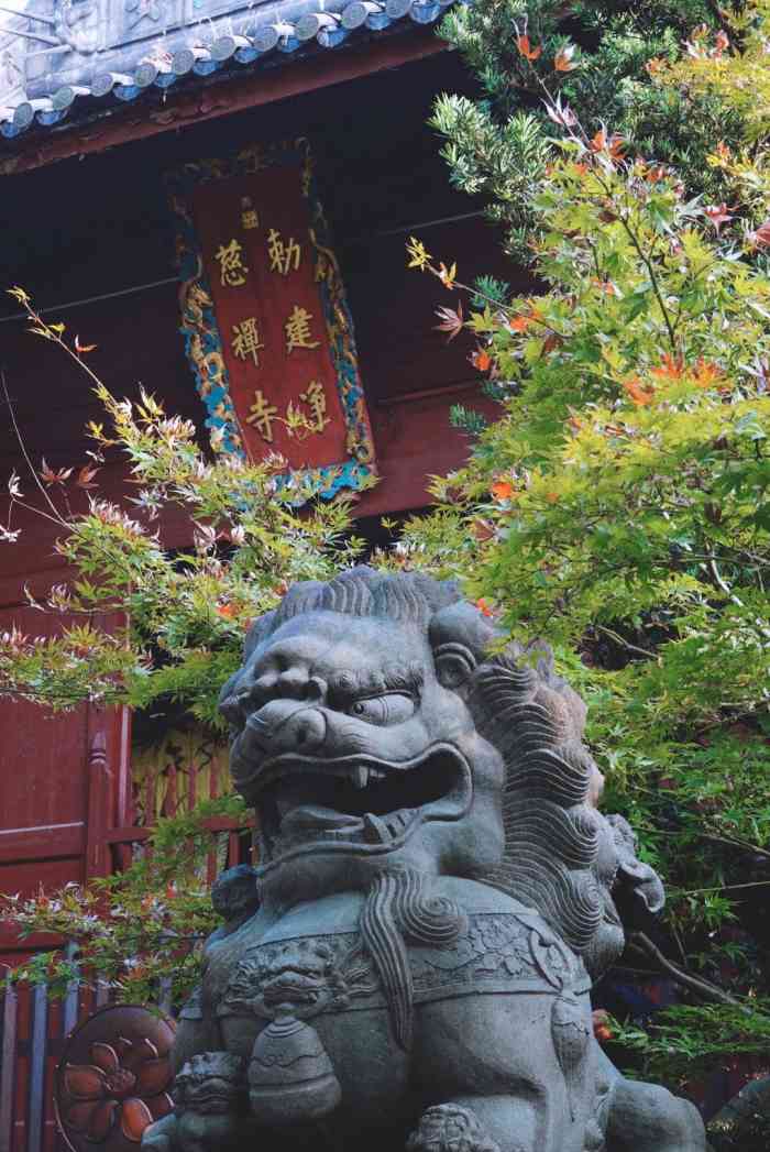 古禅寺,不错,修心养性,何以法