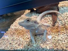 -三旗百汇商品城