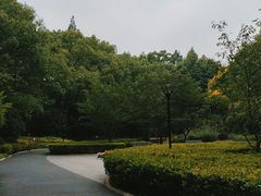 -徐家汇源景区-衡山公园