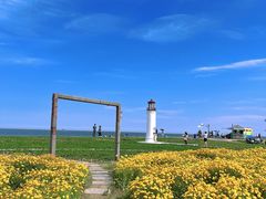 -巧克力渔家.小船海鲜家常菜(万平口店)