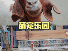 -成都松鼠部落