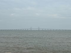 -观澳平台