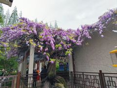 -郑和公园