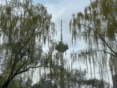 -辽宁电视塔
