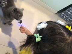 -平行世界·猫咖(首经贸店)