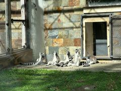 -哈尔滨北方森林动物园