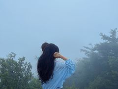 -牛背梁国家森林公园