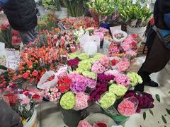 -无锡文化工艺品市场(槐古路店)