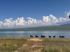 -青海湖国家重点风景名胜区