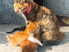 -东钱湖旅游度假区