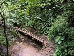 -青城山