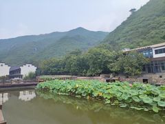 -荷塘味道(水长城店)
