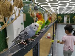 -荆州中山公园动物园