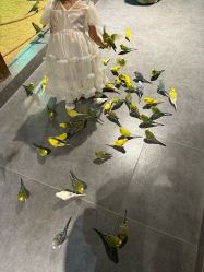 -酷嗒动物文化乐园(cutezoo西溪乐天城店)