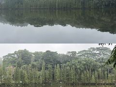 -三水森林公园