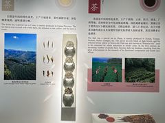 -中国茶叶博物馆(双峰馆区)
