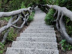 -梧桐山风景名胜区