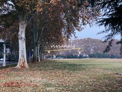 -河南省黄河迎宾馆