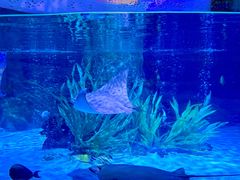 -沈阳海洋探索中心