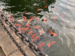 -长阳创谷