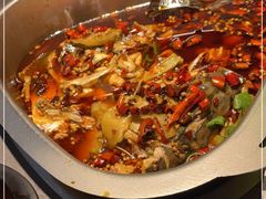 -味之绝·美蛙鱼头火锅(科巷店)