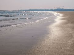 -日照海滨国家森林公园