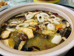 -山菌美食苑(振兴路店)