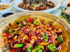 -龙翔山庄雷鸡肉(青城后山泰安古镇店)