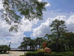 -芒洲湿地公园