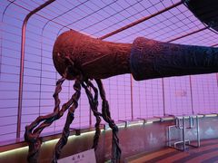 -中央广播电视塔