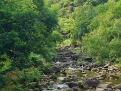 -广州白江湖森林公园