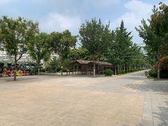 -南宫五洲植物乐园