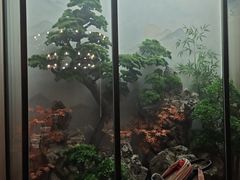 -金贵源食神(楚河汉街店)