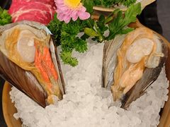 -太琼糟粕醋火锅·海南老爸茶(海棠湾臻选店)