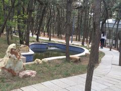 -林海公园