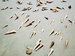 -江山半岛白浪滩景区