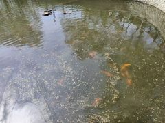 -黛秀湖公园