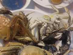 -九月海·海鲜自助(世纪东方店)