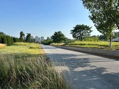 -汉长安城未央宫国家考古遗址公园