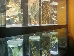 -广东中医药博物馆