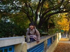 -八大关景区