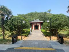 -洛阳古墓博物馆