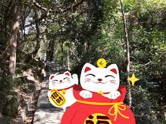 -火炉山森林公园