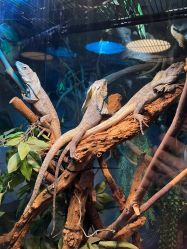 -Zoolung Zoolung动物主题公园(海信广场店)