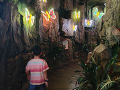 -正佳雨林生态植物园