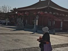 -神州牡丹园